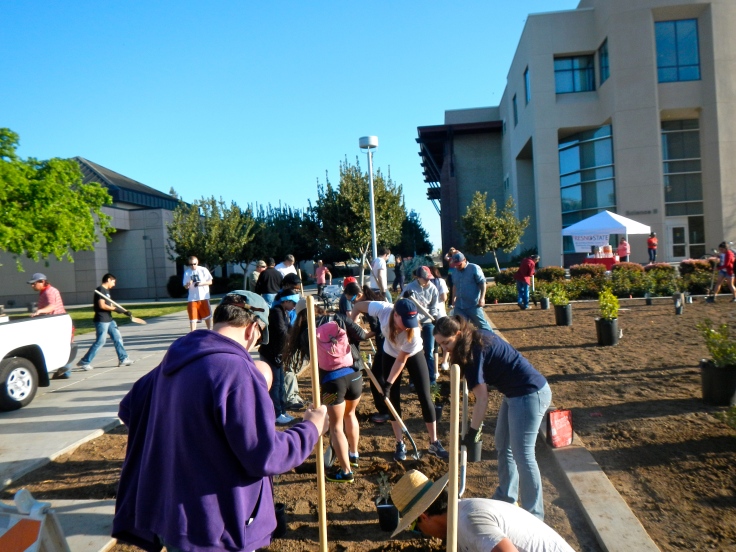 Working hard at the water-wise garden in front of the Science II building! Photo Credit: Richter Center S.E.R.V.E. committee